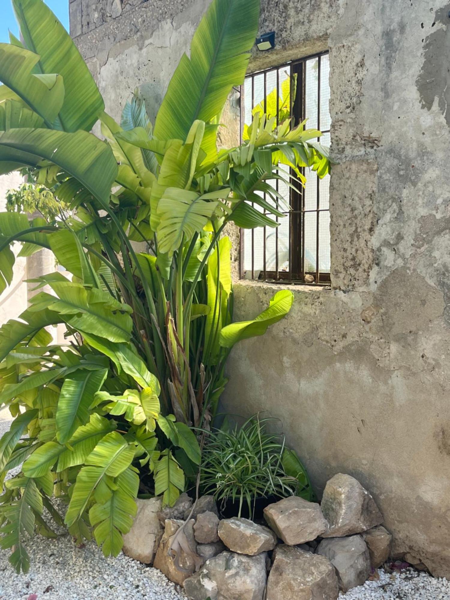 U Pantanu Apartment Syracuse Luaran gambar